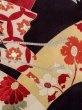 Photo16: N1015J Antique Japanese kimono   Black UCHIKAKE Wedding for women / Silk. SAKURA cherry blossom,   (Grade B) (16)