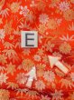 Photo19: N1015O Vintage Japanese kimono  Shiny Orange KAKESHITA under Uchikake for women / Silk. Chrysanthemum,   (Grade B) (19)