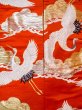 Photo6: N1015P Vintage Japanese kimono  Vivid Orange UCHIKAKE Wedding for women / Silk. Pine tree/branch/needle,   (Grade B) (6)
