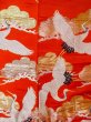 Photo10: N1015P Vintage Japanese kimono  Vivid Orange UCHIKAKE Wedding for women / Silk. Pine tree/branch/needle,   (Grade B) (10)