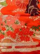 Photo13: N1015R Used Japanese kimono  Shiny Red UCHIKAKE Wedding for women / Silk. SAKURA cherry blossom,   (Grade B) (13)