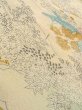 Photo8: N1112P Vintage Japanese kimono  Light Off White KOMON dyed for women / Silk. MOMIJI maple leaf,   (Grade C) (8)