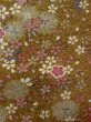 Photo7: Mint N1112S Used Japanese kimono  Yellowish Brown KOMON dyed for women / Synthetic. SAKURA cherry blossom,   (Grade A) (7)