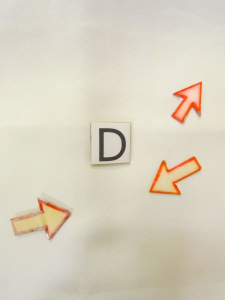 Photo21: N1126M Used Japanese kimono  Pale Off White HOUMONGI formal for women / Silk. Chrysanthemum, Letter box pattern  (Grade B) (21)