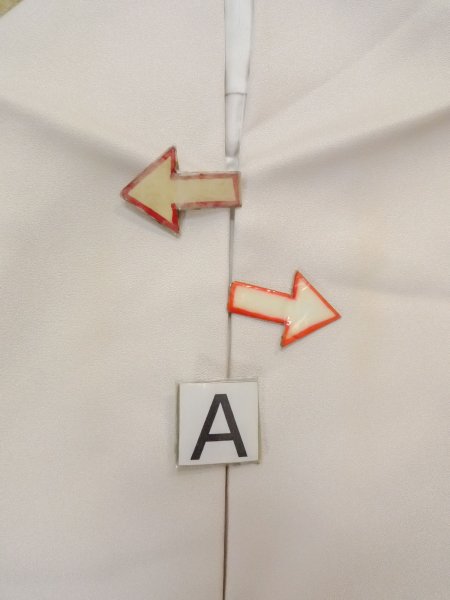 Photo21: N1126N Used Japanese kimono  Purplish Ivory HOUMONGI formal for women / Silk. Temple,   (Grade B) (21)