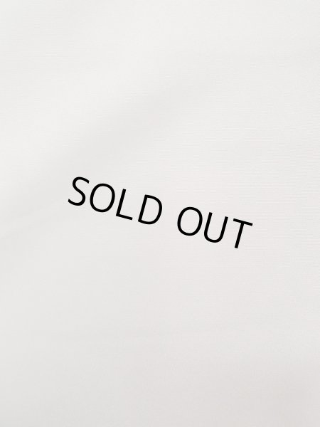 Photo9: N1126V Used Japanese kimono  Pale Gray HOUMONGI formal for women / Silk. Camellia,   (Grade B) (9)