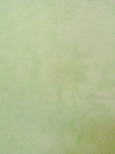 Photo9: N1127B Vintage Japanese kimono  Pale Yellowish Green TSUKESAGE formal for women / Silk. Rose,   (Grade B) (9)