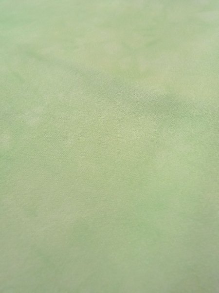 Photo13: N1127B Vintage Japanese kimono  Pale Yellowish Green TSUKESAGE formal for women / Silk. Rose,   (Grade B) (13)