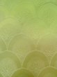 Photo7: N1210F Vintage Japanese kimono  Light Yellowish Green IROMUJI plain colored for women / Silk. Gradation   (Grade C) (7)