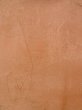 Photo4: O0117A Vintage Japanese kimono  Pale Beige IROMUJI plain colored for women / Silk. Landscape, Landscape, tree basic woven pattern  (Grade C) (4)