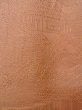 Photo8: O0117A Vintage Japanese kimono  Pale Beige IROMUJI plain colored for women / Silk. Landscape, Landscape, tree basic woven pattern  (Grade C) (8)