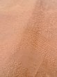 Photo11: O0117A Vintage Japanese kimono  Pale Beige IROMUJI plain colored for women / Silk. Landscape, Landscape, tree basic woven pattern  (Grade C) (11)