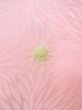 Photo7: O0124T Vintage Japanese kimono  Pale Pink JUBAN undergarment for women / Silk. Dot,   (Grade B) (7)