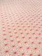 Photo10: Mint O0125E Vintage Japanese kimono   White HITOE unlined for women / Synthetic. Hemp leaf   (Grade A) (10)