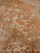 Photo3: Mint O0218W Used Japanese kimono   Brown KOMON dyed for women / Silk. SAKURA cherry blossom,   (Grade A) (3)