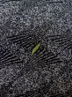 Photo6: Mint O0218Y Used Japanese kimono   Black KOMON dyed for women / Silk. Lozenges,   (Grade A) (6)