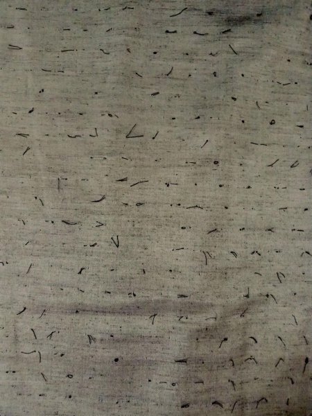 Photo14: Mint O0312X Used Japanese kimono  Light Gray YUUKI-TSUMUGI for men / Silk.    (Grade A) (14)