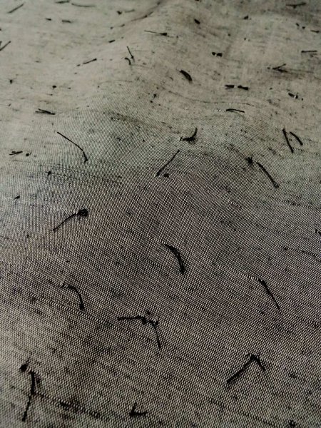 Photo18: Mint O0312X Used Japanese kimono  Light Gray YUUKI-TSUMUGI for men / Silk.    (Grade A) (18)