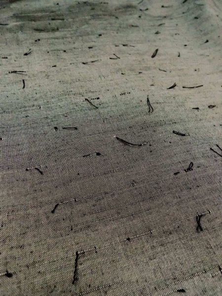 Photo20: Mint O0312X Used Japanese kimono  Light Gray YUUKI-TSUMUGI for men / Silk.    (Grade A) (20)