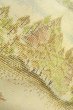 Photo9: O0328O Vintage Japanese kimono  Light Off White TOKAMACHI-TSUMUGI for women / Silk. Tree,   (Grade C) (9)