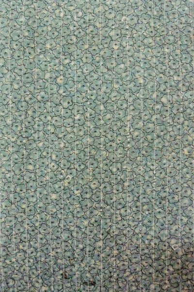 Photo5: O0419G Vintage Japanese kimono Pale Greenish Light Blue KOMON dyed for women / Silk. Flower,   (Grade C) (5)
