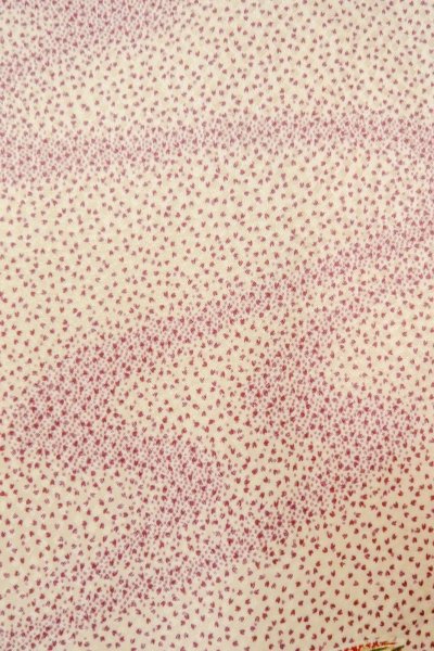 Photo7: O0419K Vintage Japanese kimono   Ivory KOMON dyed for women / Silk. SAKURA cherry blossom,   (Grade C) (7)