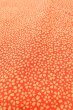 Photo9: Mint O0419X Vintage Japanese kimono   Orange KOMON dyed for women / Silk. SAKURA cherry blossom   (Grade A) (9)