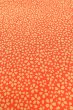 Photo10: Mint O0419X Vintage Japanese kimono   Orange KOMON dyed for women / Silk. SAKURA cherry blossom   (Grade A) (10)
