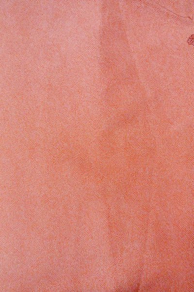 Photo4: O0420B Vintage Japanese kimono   Vermilion EDO KOMON pattern dyed for women / Silk. Dot   (Grade B) (4)