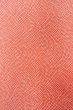 Photo8: O0420B Vintage Japanese kimono   Vermilion EDO KOMON pattern dyed for women / Silk. Dot   (Grade B) (8)