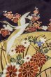 Photo15: Mint O0509B Used Japanese kimono   Black TOMESODE formal for women / Synthetic. SAKURA cherry blossom,   (Grade A) (15)