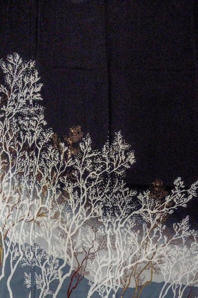 Photo4: O0509P Used Japanese kimono   Black TOMESODE formal for women / Silk. Tree,   (Grade C) (4)