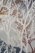 Photo7: O0509P Used Japanese kimono   Black TOMESODE formal for women / Silk. Tree,   (Grade C) (7)