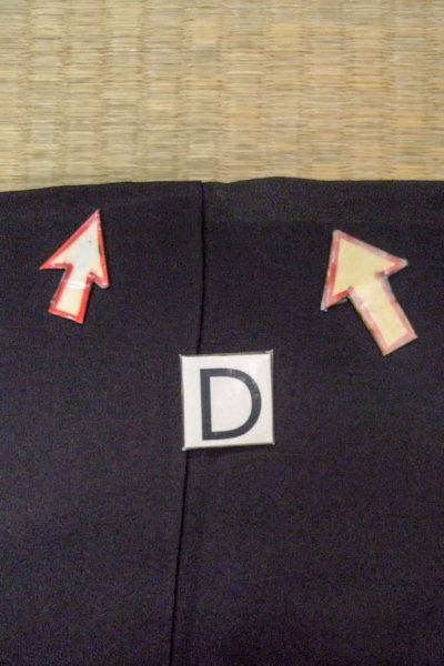 Photo19: O0509Q Vintage Japanese kimono   Black TOMESODE formal for women / Silk. Chrysanthemum,   (Grade C) (19)