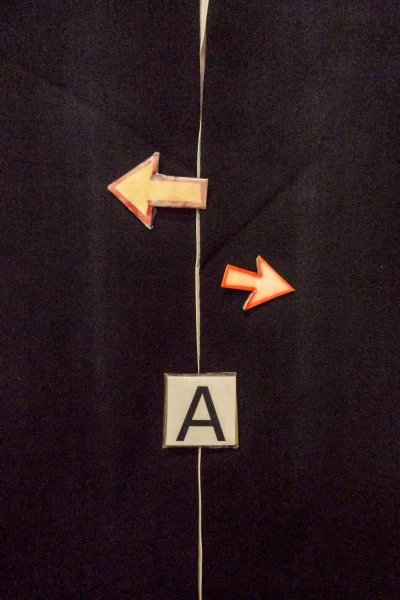 Photo16: O0509R Vintage Japanese kimono   Black TOMESODE formal for women / Silk. Flower,   (Grade C) (16)