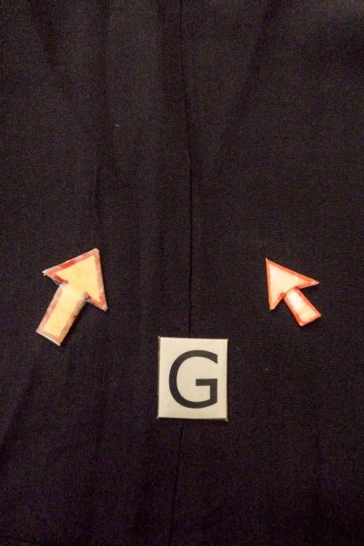 Photo22: O0509R Vintage Japanese kimono   Black TOMESODE formal for women / Silk. Flower,   (Grade C) (22)