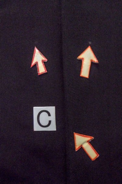 Photo18: O0509X Vintage Japanese kimono   Black TOMESODE formal for women / Silk. UME plum bloom, Silver embroidery  (Grade C) (18)