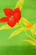 Photo3: Mint O0528J Vintage Japanese Kimono  Vivid Yellowish Green  NAGOYA OBI sash Autumn bellflower Linen. (Grade A) (3)