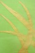 Photo7: O0606H Vintage Japanese Kimono  Light Yellowish Green  NAGOYA OBI sash Bamboo leaf Linen. (Grade C) (7)
