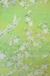 Photo3: O0606Q Vintage Japanese Kimono  Shiny Yellowish Green  FUKURO NAGOYA Obi SAKURA cherry blossom Silk. (Grade C) (3)