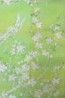 Photo4: O0606Q Vintage Japanese Kimono  Shiny Yellowish Green  FUKURO NAGOYA Obi SAKURA cherry blossom Silk. (Grade C) (4)