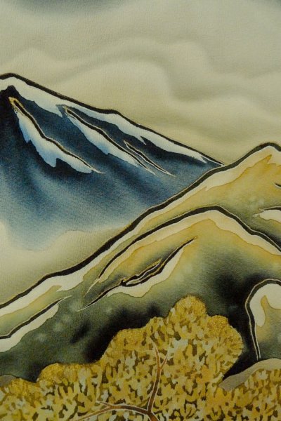 Photo10: O0624E Vintage Japanese kimono   Black TOMESODE formal for women / Silk. Cloud, Discolored all over.  (Grade C) (10)