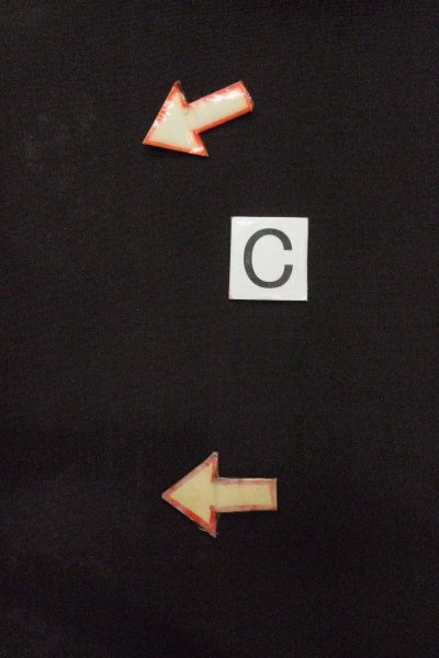 Photo22: O0624F Vintage Japanese kimono   Black TOMESODE formal for women / Silk. Chrysanthemum,   (Grade C) (22)