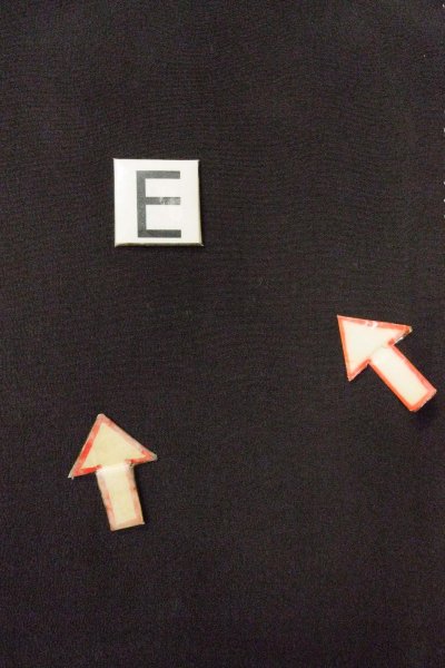 Photo24: O0624F Vintage Japanese kimono   Black TOMESODE formal for women / Silk. Chrysanthemum,   (Grade C) (24)