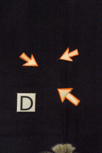 Photo21: O0624H Vintage Japanese kimono   Black TOMESODE formal for women / Synthetic. Flower,   (Grade D) (21)