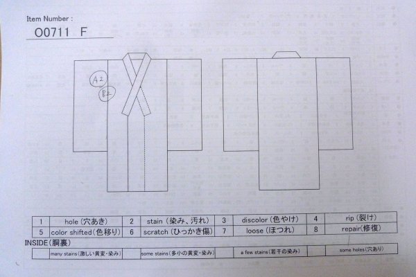 Photo13: O0711F Used Japanese kimono   White TOKAMACHI-TSUMUGI for women / Silk. Camellia,   (Grade B) (13)