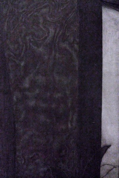 Photo3: O0909N Vintage Japanese kimono   Black HAORI short jacket for women / Silk. Autumn bellflower   (Grade D) (3)