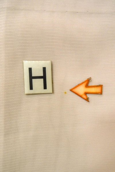 Photo22: O1002V Vintage Japanese kimono Light Grayish Pink TSUKESAGE formal for women / Silk. Chrysanthemum (Grade C) (22)