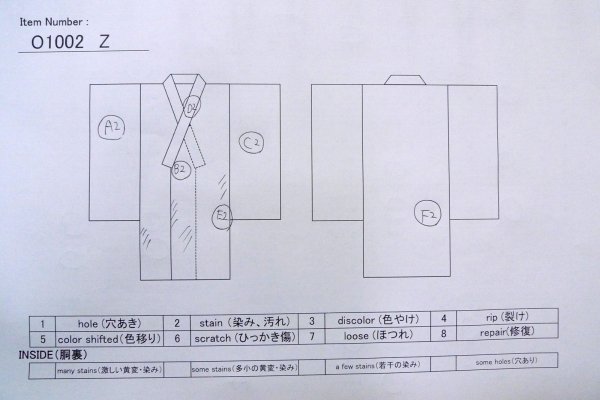 Photo16: O1002Z Vintage Japanese kimono Pale Ivory HOUMONGI formal for women / Silk. Flower (Grade C) (16)