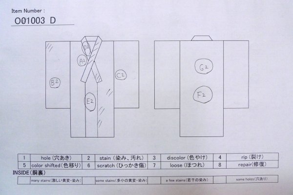 Photo14: O1003D Vintage Japanese kimono Pale Grayish Light Blue HOUMONGI formal for women / Silk. Chrysanthemum (Grade C) (14)